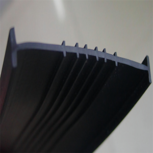 DMSS52  Door & Window Frame Seal Strip