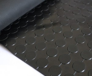 DM3002–Coin Rubber Matting